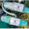 Jackson Lumber Harvester Vertical Edger